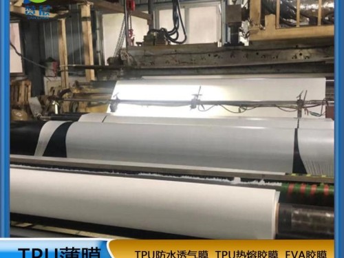 tpu膜白色雾面防水透气膜复合布料纺织移印 等功能性薄膜生产厂家直销