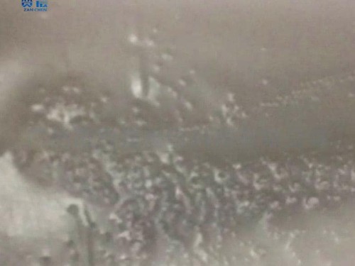 TPU防水透湿膜 中高透