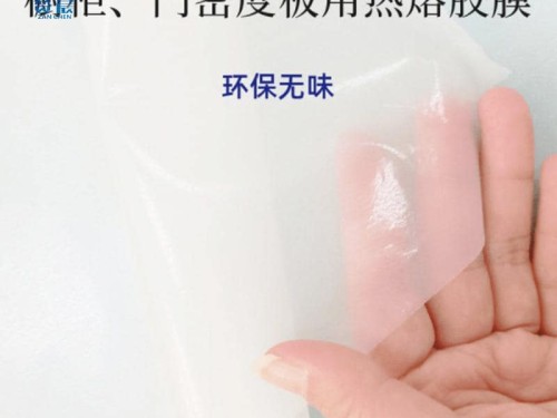 TPU热熔胶膜