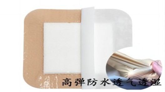 医用TPU透湿膜的生物兼容性